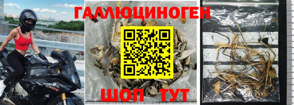 Галлюциногенные грибы GOLDEN TEACHER Лысьва